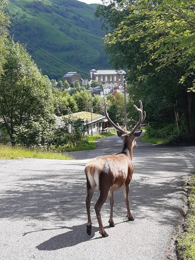 Riverside Pod, West Highland Way Holidays Kinlochleven Esterno foto
