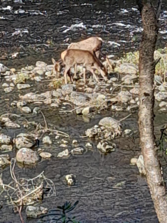 Riverside Pod, West Highland Way Holidays Kinlochleven Esterno foto